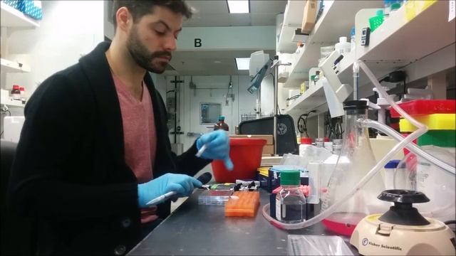 How to do qRT-PCR (1/3) смотреть онлайн