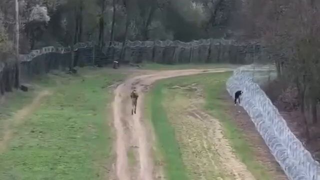 "Свободная страна" смотреть онлайн