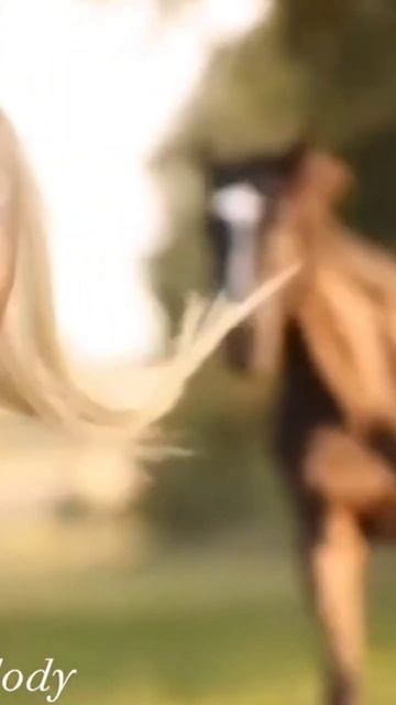 Красивая песня смотреть онлайн