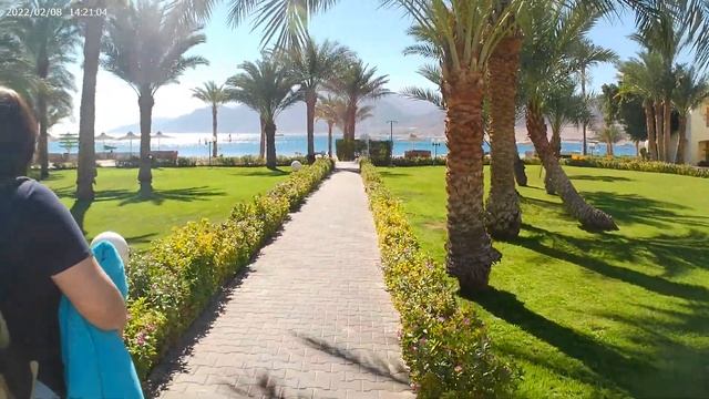 Дахаб, февраль 2022, Тирана. Tirana, Dahab