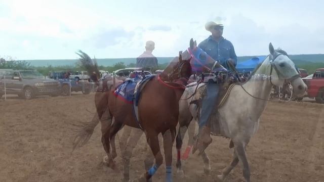 Carreras de Caballos en Divisaderos 13 Julio 2024 смотреть онлайн