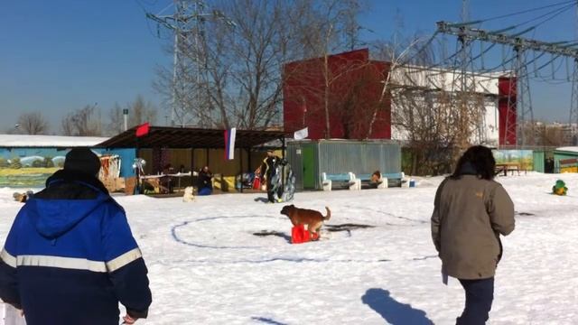 Отборочные ФМББ Марьино 2013 смотреть онлайн