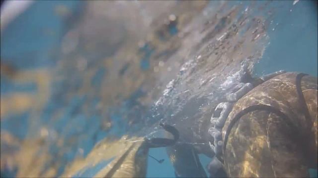 i barracuda della costa azzurra full hd смотреть онлайн
