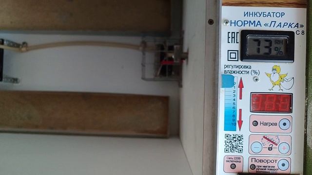 Инкубирование Бройлеров РОС-308 смотреть онлайн