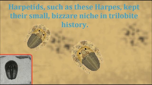 Trilobites of the Silurian смотреть онлайн