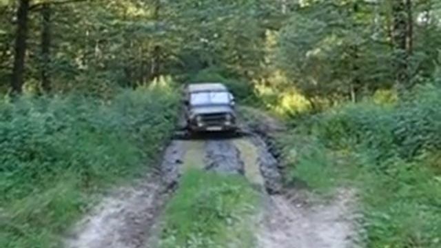Колея в лесу смотреть онлайн