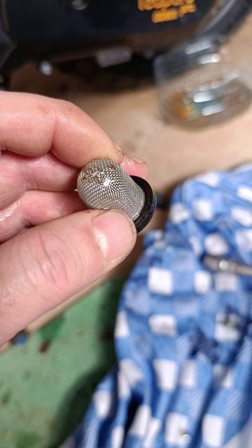 Leopard Osaka замена транспортировочных масел 3