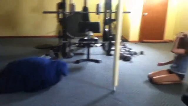 Lion vs Snail-Bug смотреть онлайн