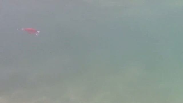 Scatter Rap Shad PL смотреть онлайн