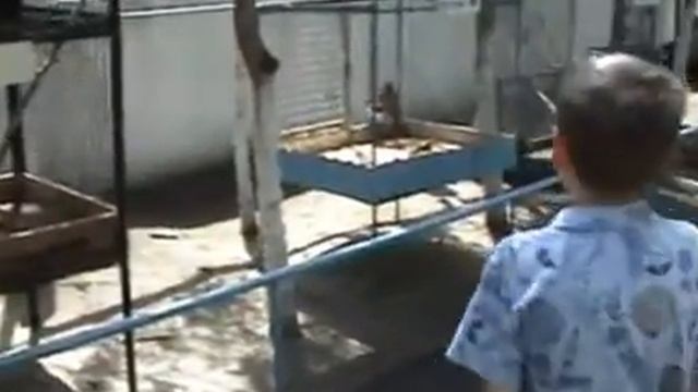Синдром Туретта смотреть онлайн