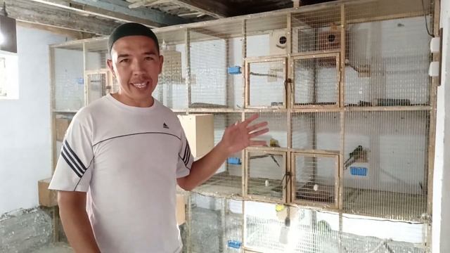 UY SHAROITIDA QUSH BOQISH BIZNESI HAQIDA MALUMOTLARI