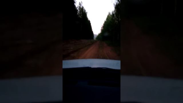 Охота на зайца:) смотреть онлайн