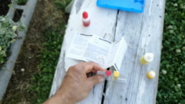 REGOLAZIONE CLORO E PH DELLA PISCINA Test ph e test cloro e come intervenire смотреть онлайн