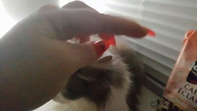 АСМР 💫 чавканье, плямканье 💫ASMR.