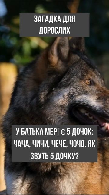 загадка для дорослих смотреть онлайн
