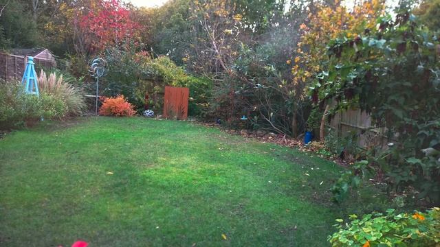 Back Garden Time-lapse v2 смотреть онлайн