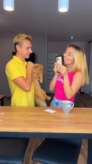 Cat or IPhone?? Right choice?!🥺 ang.lova #shorts смотреть онлайн