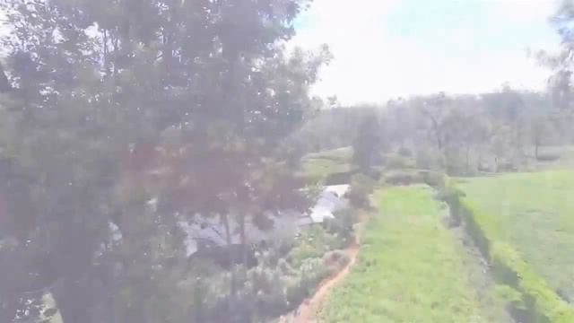 Stafford Bungalow, Ragala - Lankarus Lanka Tours смотреть онлайн