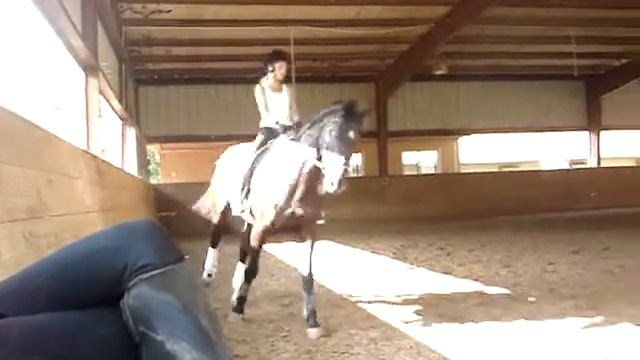 Dressage with Vindaris! :) смотреть онлайн