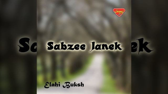 Sar Jane Parcha Dil Tara смотреть онлайн