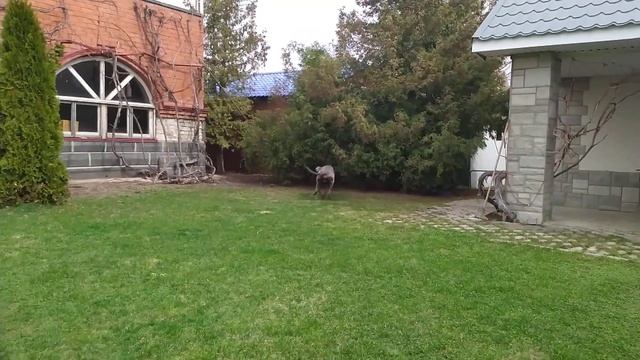 12 апреля. Погода радует. смотреть онлайн