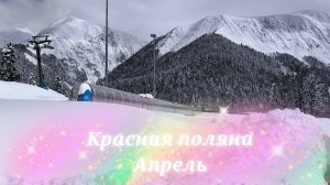 Красная поляна 12 апреля. Снег закончился, такая красота вокруг. Спускаемся на канатке с Альпики