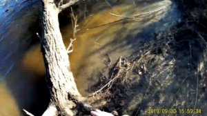 Осенняя рыбалка на сига   30.9.2019.