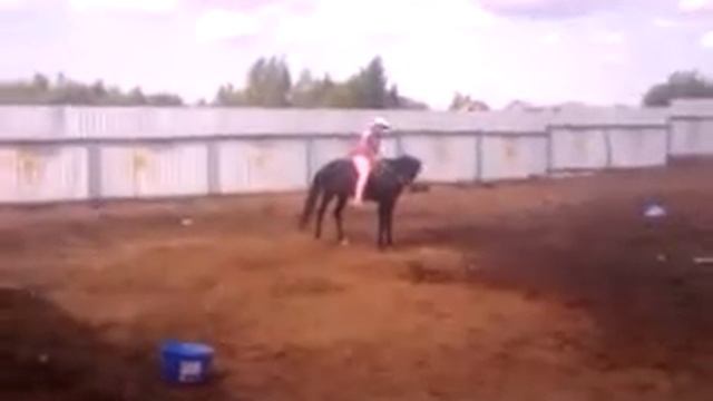 Зеля на кордео смотреть онлайн