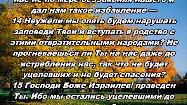 28.09.2014 Хорошая жизнь (Ездра 9:1-15) смотреть онлайн