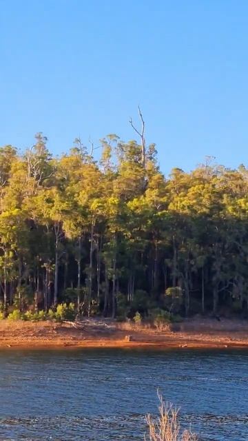 wellington national Park Western Australia 🇦🇺 смотреть онлайн