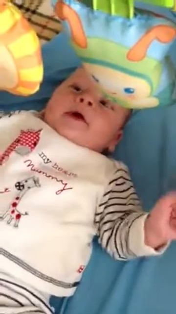 Птица-говорун смотреть онлайн