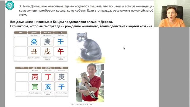 Домашние животные по Ба Цзы смотреть онлайн