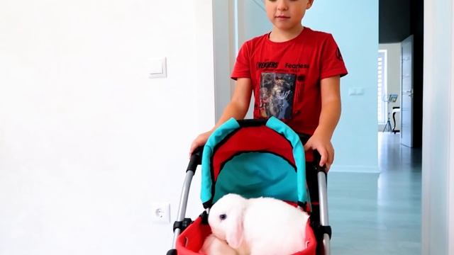 Sick Bunny song |어린이 노래 동요 | Hello Makar смотреть онлайн