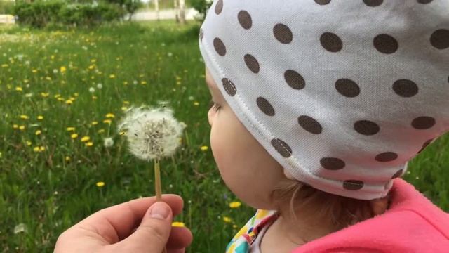 Маша в одуванчиках! смотреть онлайн