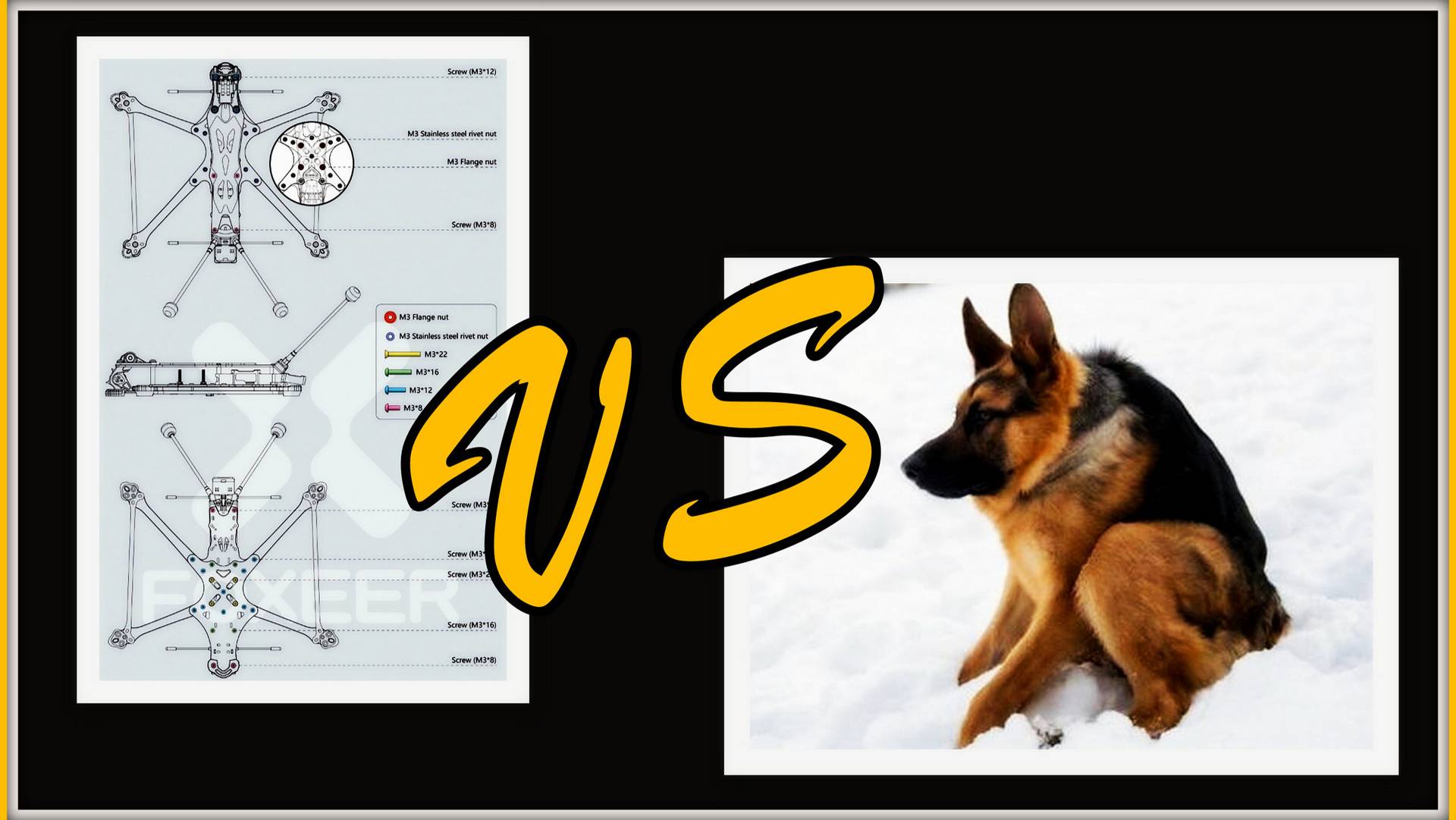 Foxeer Mega LR7 DC VS a funny slouching dog. смотреть онлайн