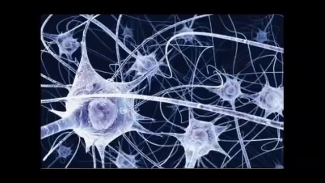1 HORA DE MÚSICA CLÁSICA CON ONDAS GAMMA смотреть онлайн