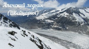 Алечский ледник (Швейцария)
