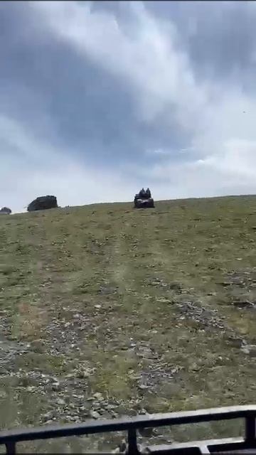 Кедр Золотой на Семинском перевале! смотреть онлайн