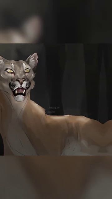 коты воители Острозуб пума #warriorcats #котывоители #кв смотреть онлайн