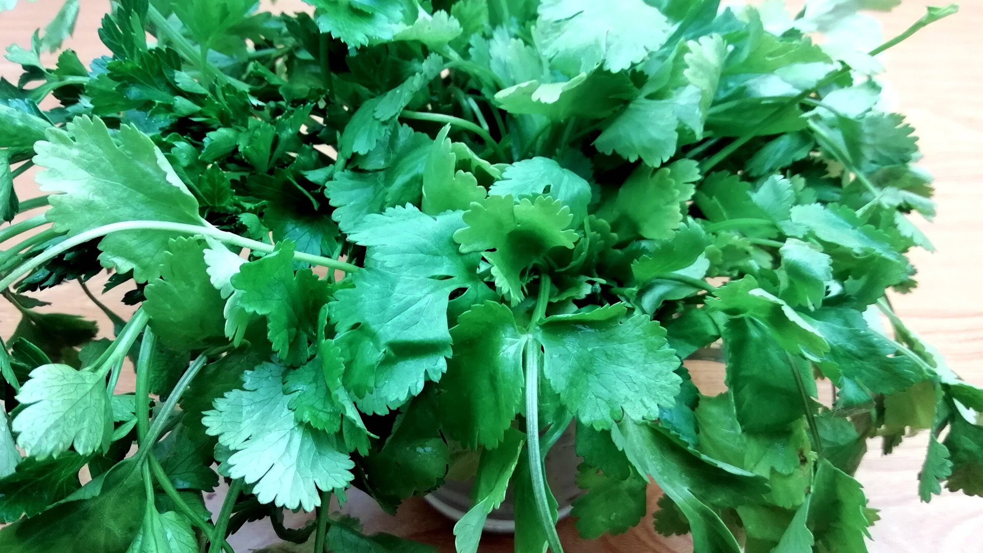 Самый лучший способ хранения свежей зелени! Как СОХРАНИТЬ ЗЕЛЕНЬ СВЕЖЕЙ и ЗЕЛЕНОЙ до 10 дней 👍 смотреть онлайн