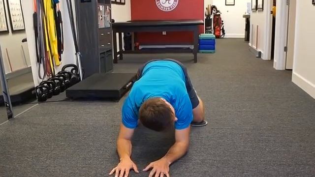 Reverse Salamander смотреть онлайн