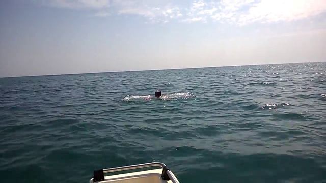 Уткер на море смотреть онлайн