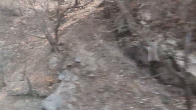 Спуск с Великой Китайской Стены смотреть онлайн