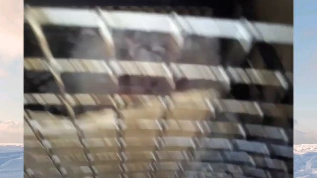 Рыжая 🐰 & шоколад 🐰 смотреть онлайн