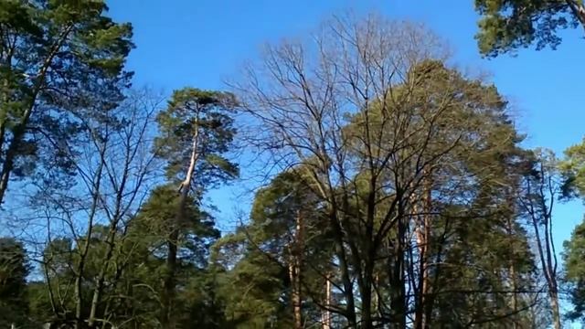 Грачи прилетели! смотреть онлайн