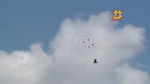 Чебоксарская ворона обогнала Стрижей! смотреть онлайн