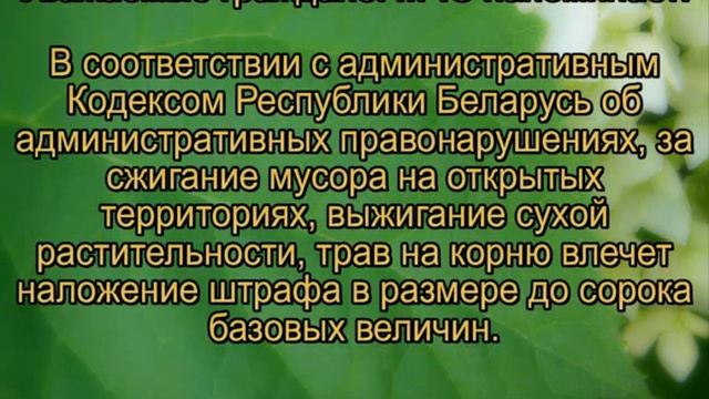 Напоминание об ответственности за выжигание сухой растительности.