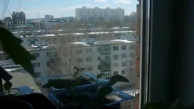 P1080231 смотреть онлайн