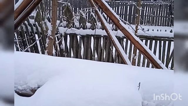 Едем в родные края смотреть онлайн