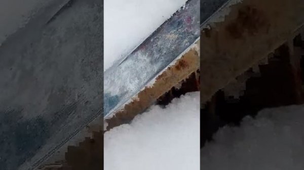 гуляем по даче